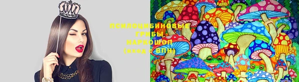 мдма Заволжск