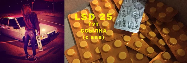 индика Зеленокумск