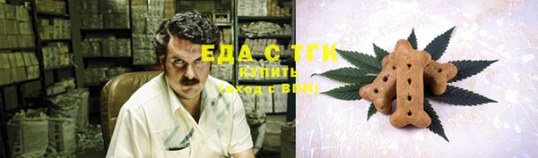 хмурый Заводоуковск
