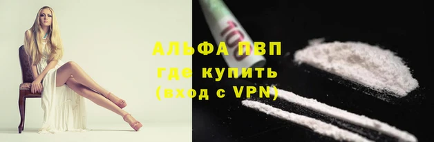 хмурый Заводоуковск