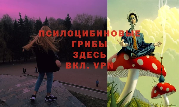 хмурый Заводоуковск