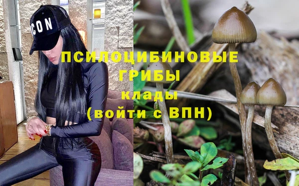 индика Зеленокумск