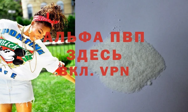 индика Зеленокумск