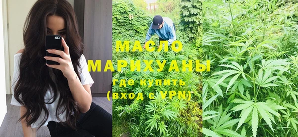 индика Зеленокумск