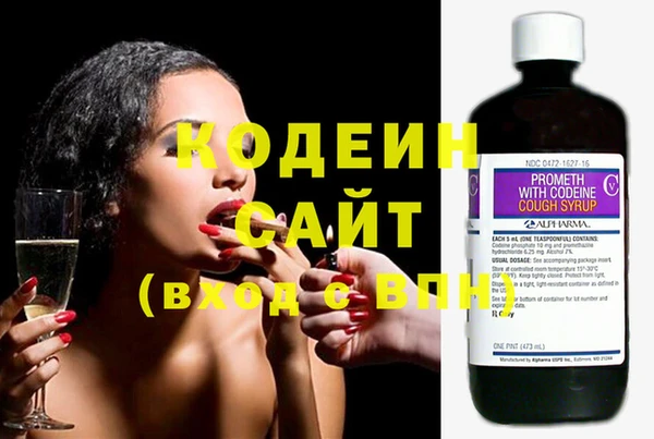 индика Зеленокумск