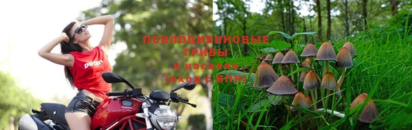 мдма Заволжск