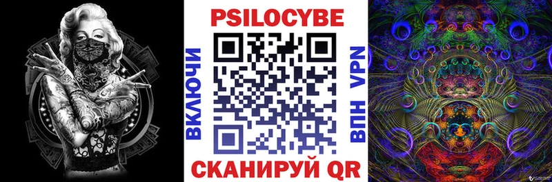Купить  Катайск  Псилоцибиновые грибы Psilocybe 
